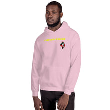 Load image into Gallery viewer, Enough is Enough No more Blood/ Tears Unisex Hoodie