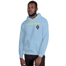 Load image into Gallery viewer, Enough is Enough No more Blood/ Tears Unisex Hoodie