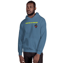 Load image into Gallery viewer, Enough is Enough No more Blood/ Tears Unisex Hoodie