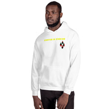 Load image into Gallery viewer, Enough is Enough No more Blood/ Tears Unisex Hoodie