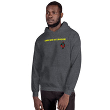 Load image into Gallery viewer, Enough is Enough No more Blood/ Tears Unisex Hoodie