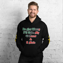 Load image into Gallery viewer, Anubis Do Not Worry I'll Take my 40 Acres & a Mule Unisex Hoodie