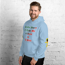 Load image into Gallery viewer, Anubis Do Not Worry I'll Take my 40 Acres & a Mule Unisex Hoodie