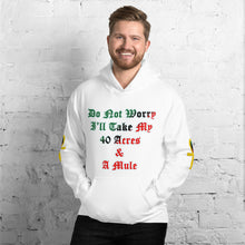 Load image into Gallery viewer, Anubis Do Not Worry I'll Take my 40 Acres & a Mule Unisex Hoodie